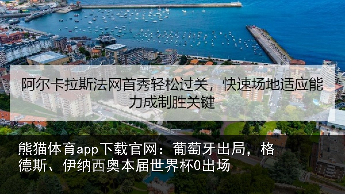 熊猫体育app下载官网：葡萄相关情况西奥本届世界杯0出场